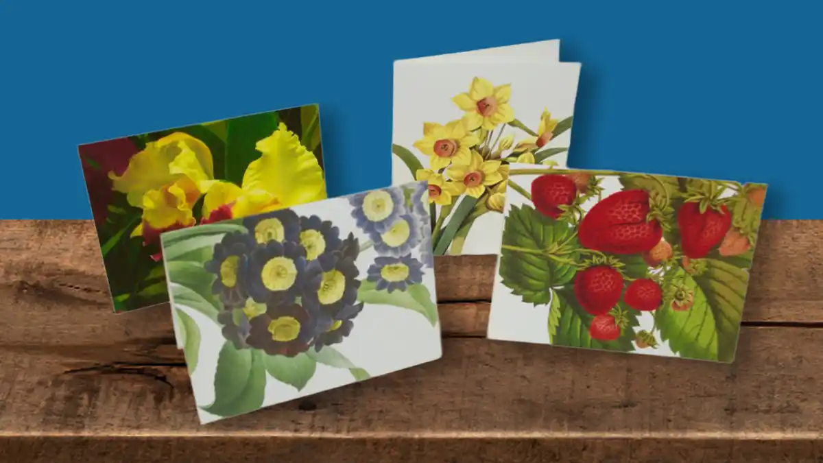 flower greeting cards
